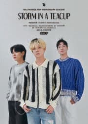 롤링 29주년 기념 공연, 맥거핀 단독 콘서트: Storm In A Teacup