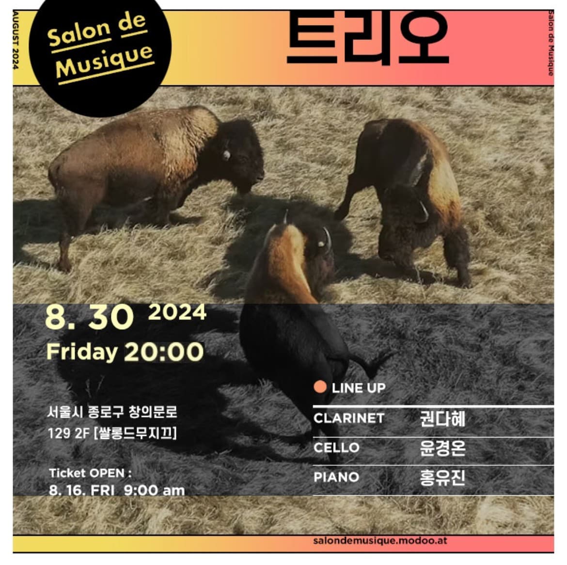 쌀롱드무지끄, 트리오