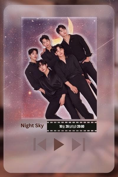 Night Sky 콘서트 [대학로]