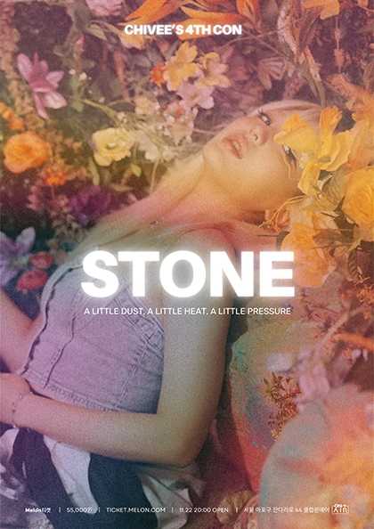 치비 단독콘서트: STONE