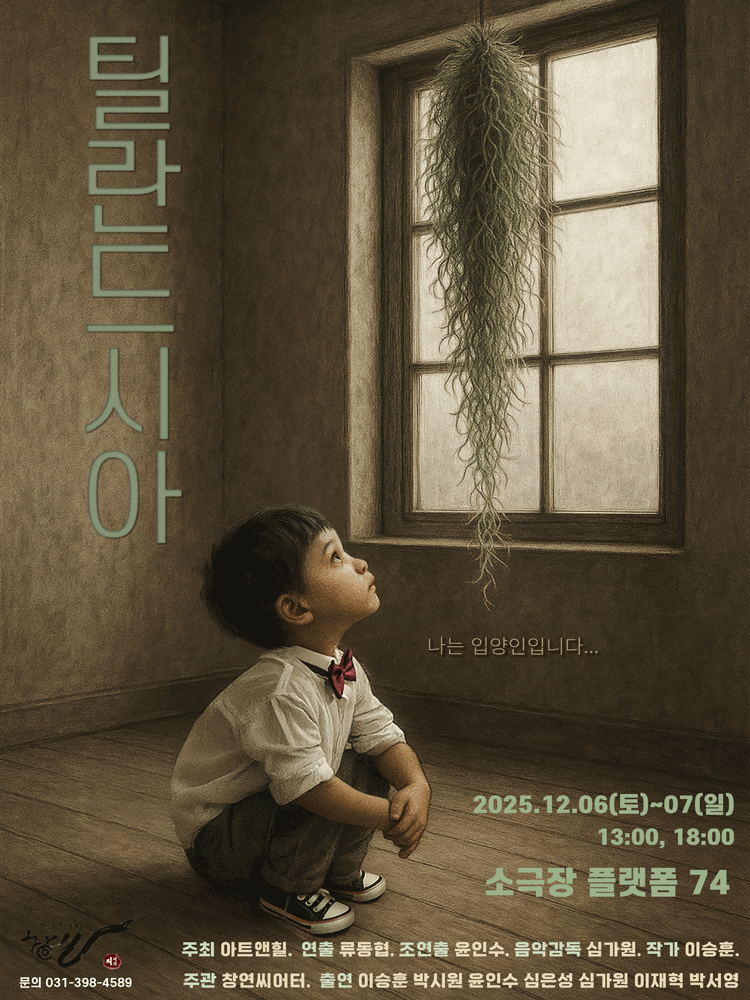 틸란드시아 [대학로]
