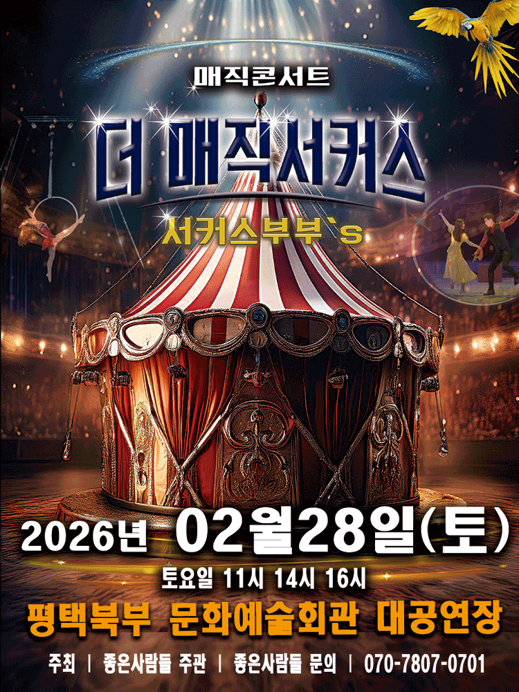 더: 매직서커스 [평택]