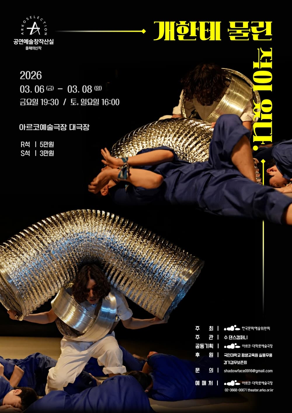 수 댄스컴퍼니, 개한테 물린 적이 있다.