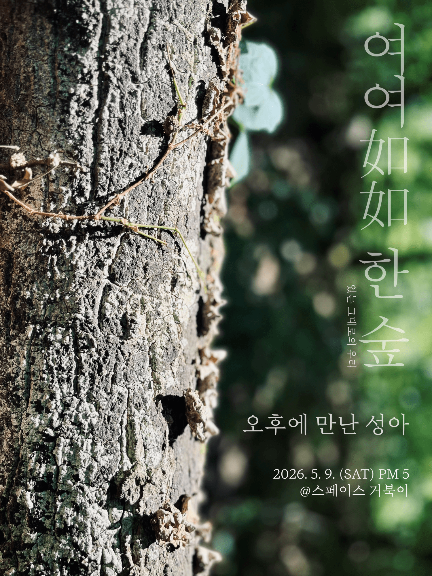 거북이 라이브, 여여如如 한 숲: 오후에 만난 성아