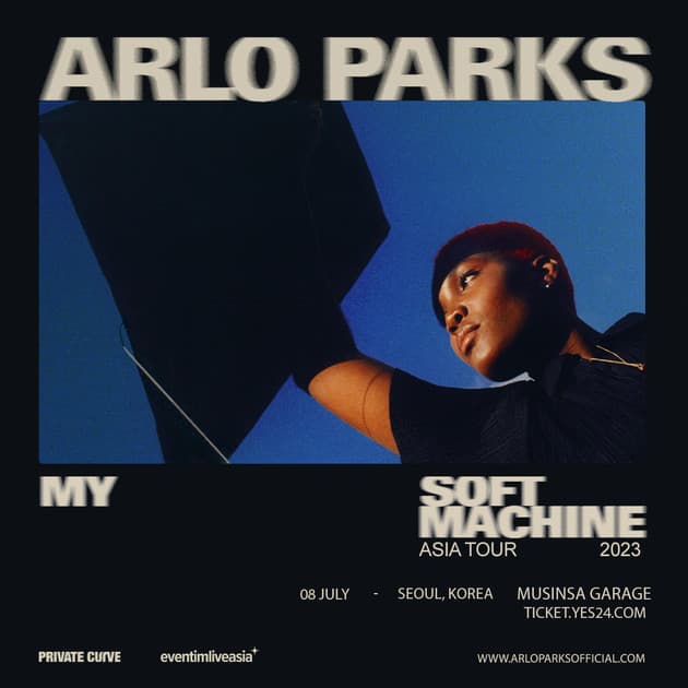 Arlo Parks 내한공연 : 내한공연 정보