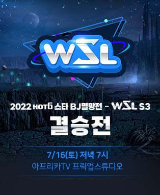 아프리카TV 2022 스타크래프트 BJ멸망전 - WSL S3 결승전