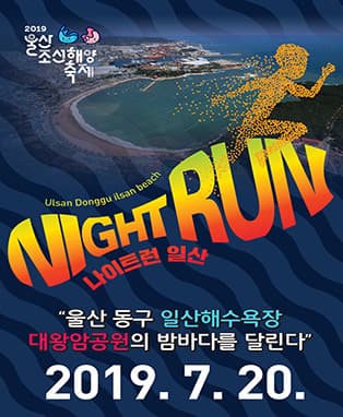 2019 울산조선해양축제 - 나이트런 일산