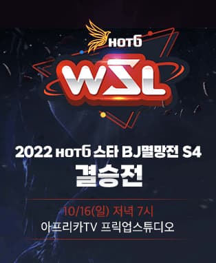 아프리카TV 2022 스타크래프트 BJ멸망전 - WSL S4 결승전