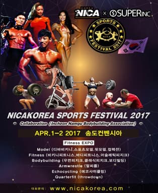 2017년 슈퍼링크배 니카코리아 스포츠페스티벌
