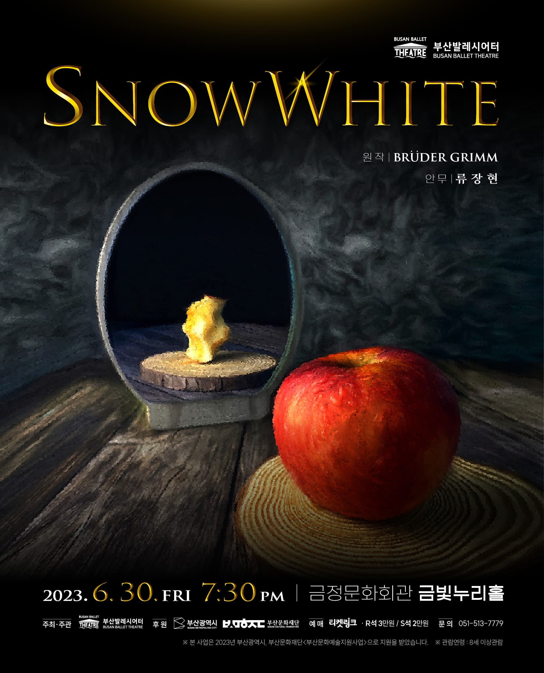 누아르 발레 판타지 < SNOW WHITE >