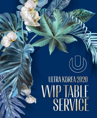울트라 코리아 2020 - VVIP PACKAGE