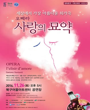 오페라 사랑의 묘약 - 대구