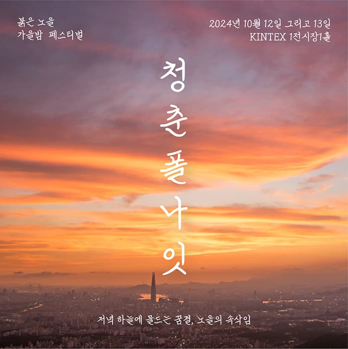 청춘폴나잇 2024