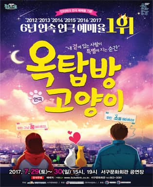 옥탑방 고양이 - 대구