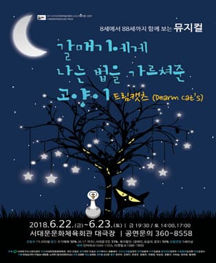 뮤지컬 '갈매기에게 나는 법을 가르쳐준 고양이'