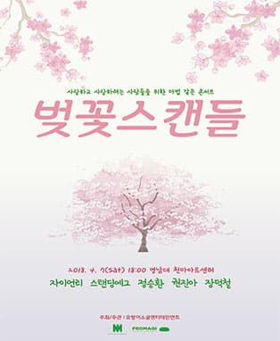 벚꽃스캔들 - 대구