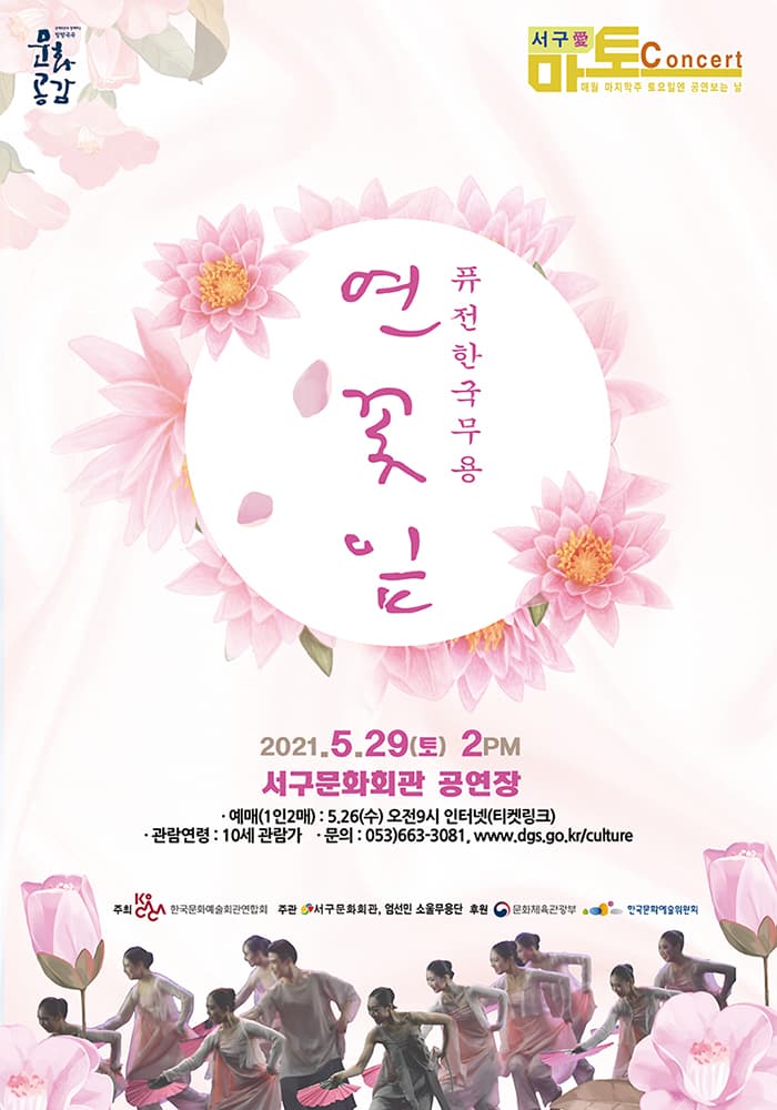 연꽃잎 - 대구