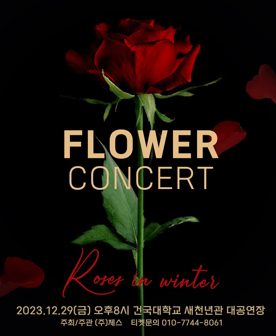 플라워 단독 콘서트 rose in winter