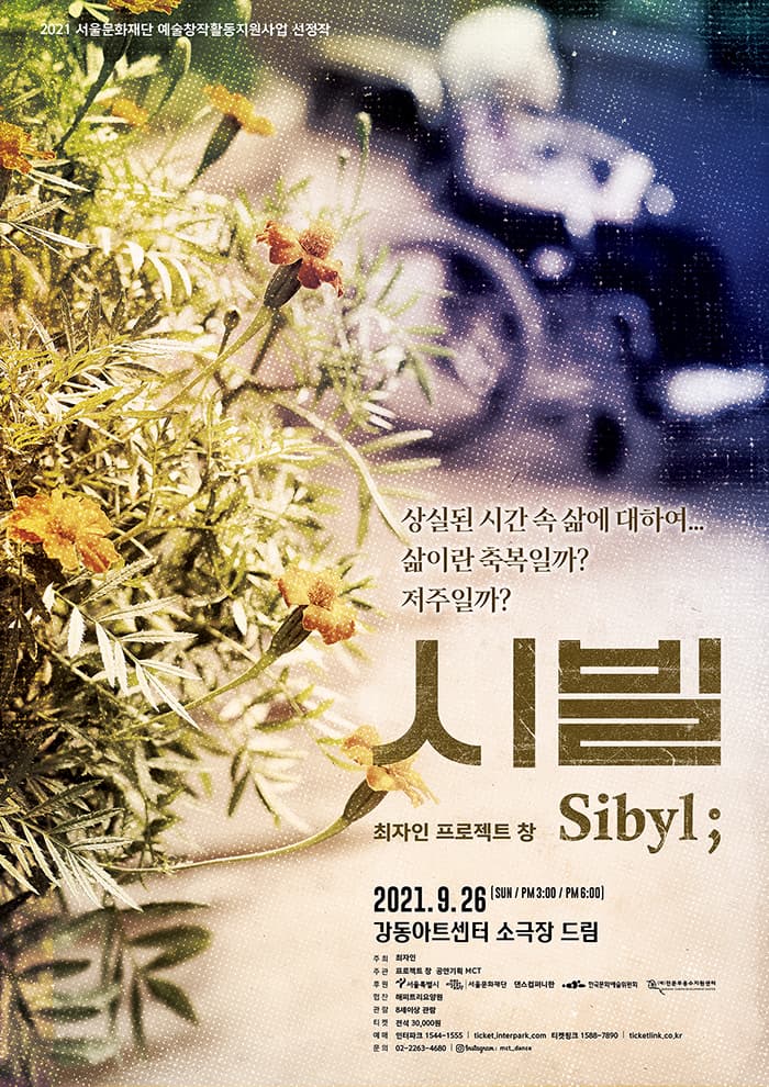 최자인 〈Sibyl : 시빌〉
