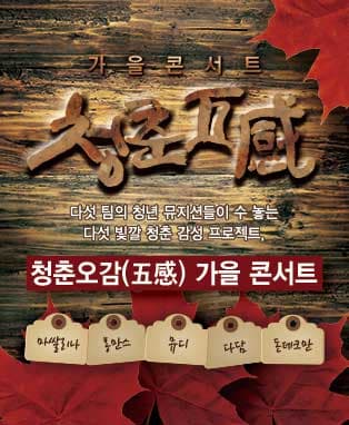 청춘오감, 가을 콘서트 (대구)
