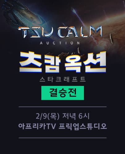 스타크래프트 츠캄옥션 결승전