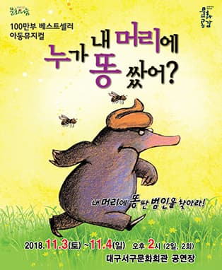누가 내머리에 똥 쌌어? - 대구