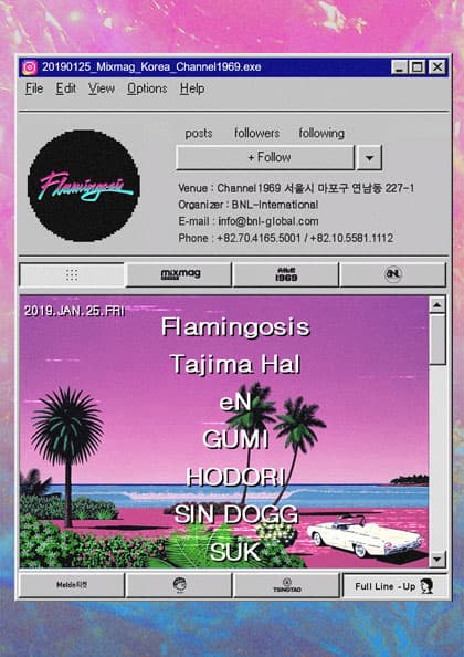 Flamingosis First Live In Seoul 2019
